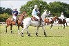 UKPA NC SAT_2623